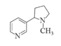 Nicotine là chất gây nghiện có trong thuốc lá Nicotine là một amine và