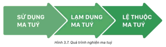 Em hãy quan sát Hình 3 7 và cho biết Quá trình nghiện ma túy gồm những