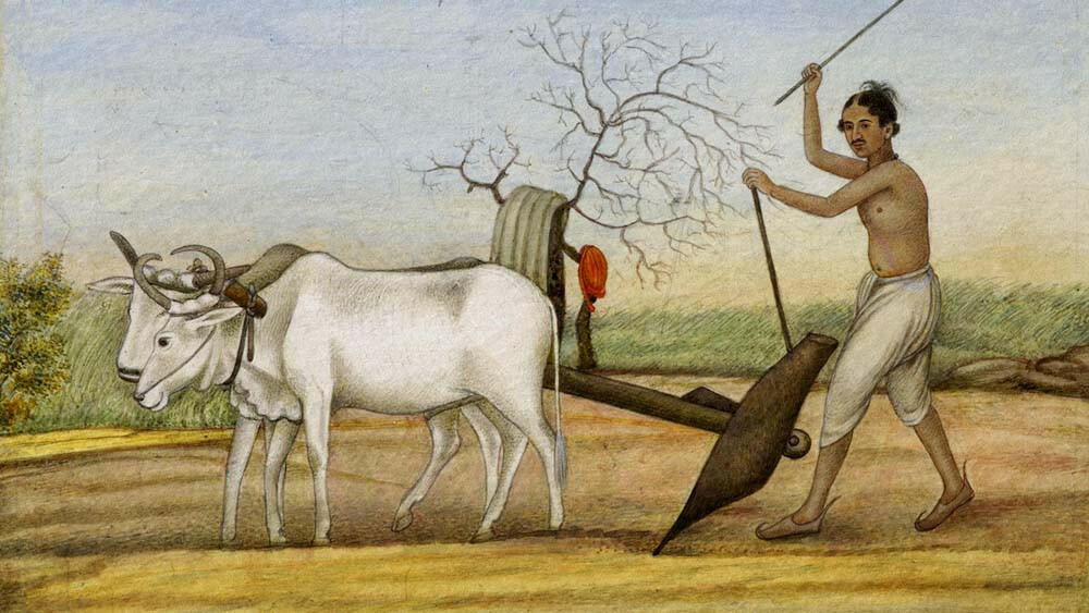 Chăn thả gia súc là nền kinh tế ban đầu của người Aryan