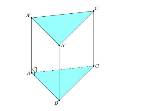 Hình chiếu bằng của hình lăng trụ tam giác đều là hình tam giác đều