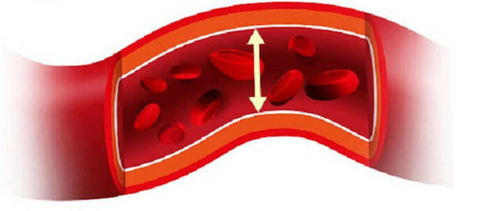 Trong tuần hoàn cơ thể người thì loại mạch nào có huyết áp cao nhất?  