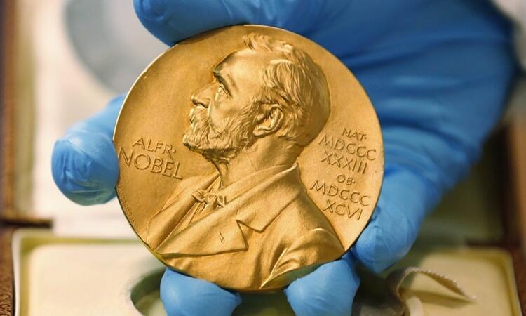 The nobel prizes awarded annually for distinguished work in chemistry