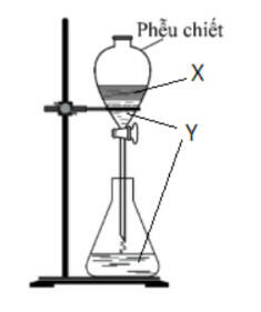 Xác định các chất X, Y tương ứng trong hình vẽ?