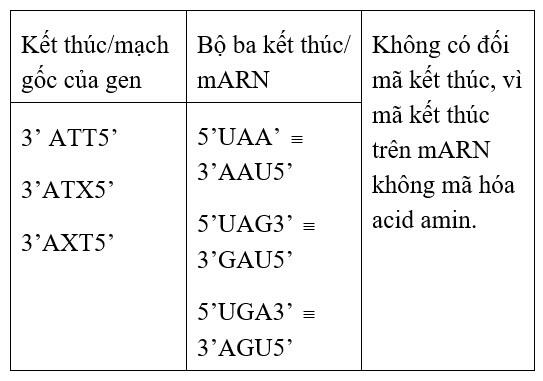 Bộ ba nào sau đây là bộ ba kết thúc?