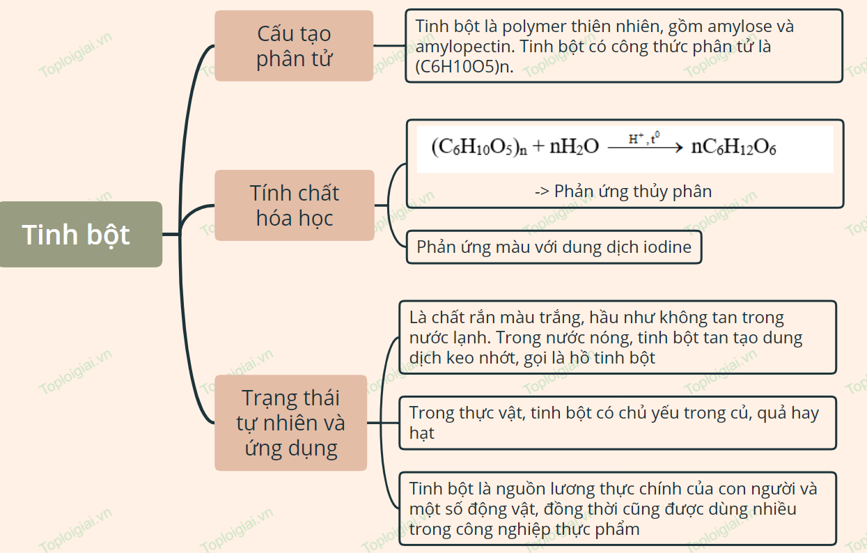 Sơ đồ tư duy Tinh bột