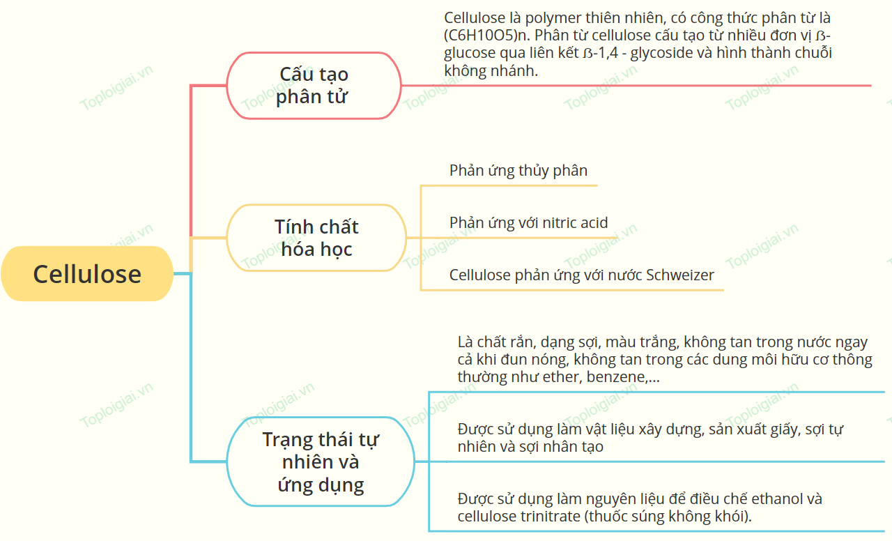 Sơ đồ tư duy cellulose