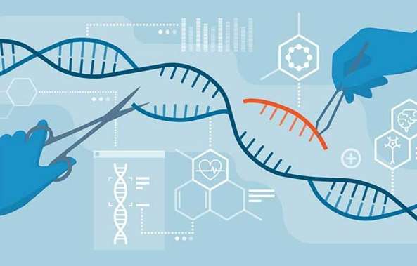 [ĐÚNG NHẤT] ADN tái tổ hợp là gì?