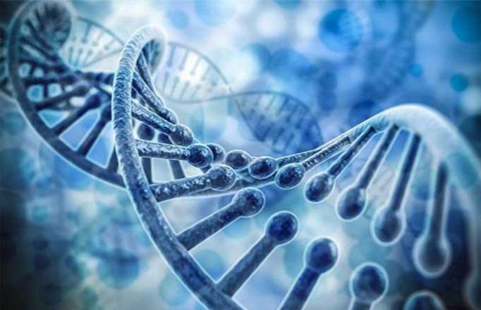ADN tái tổ hợp trong kỹ thuật cấy gen là