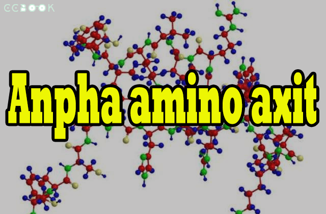 Tìm hiểu về gốc alpha amino axit là gì trong sinh hóa học
