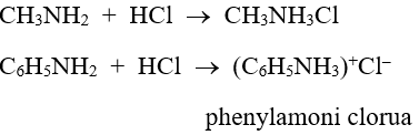 Amin tính chất hóa học và cấu tạo (ảnh 10)