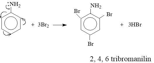 Amin tính chất hóa học và cấu tạo (ảnh 12)