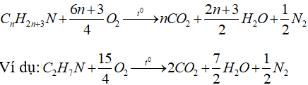 Amin tính chất hóa học và cấu tạo (ảnh 13)