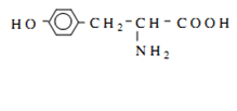 Amino axit là hợp chất hữu cơ trong phân tử có chứa nhóm chức nào (ảnh 2)