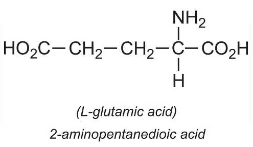 [CHUẨN NHẤT]    Axit glutamic là gì (ảnh 2)