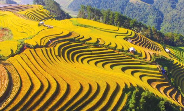 Bài 13: Hai mặt phẳng song song