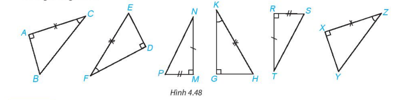 Bài 15: Các trường hợp bằng nhau của tam giác vuông