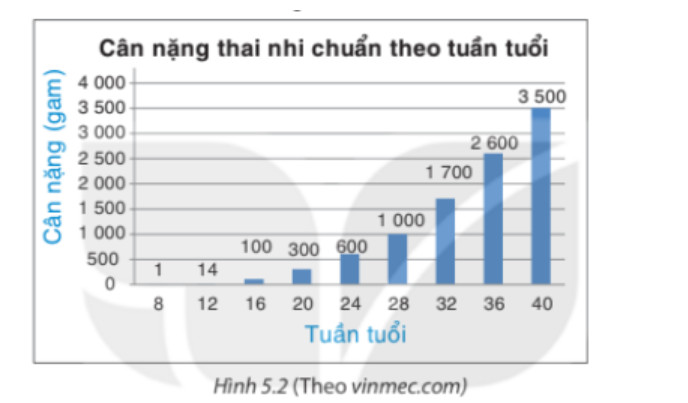 Bài 19: Biểu diễn dữ liệu bằng bảng và biểu đồ 