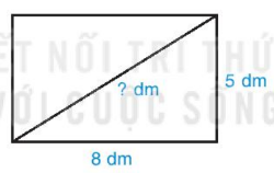 Bài 2.11 trang 32 SGK Toán 7 Tập 1 Kết nối tri thức