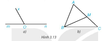 Bài 3.1 trang 45 SGK Toán 7 Tập 1 Kết nối tri thức