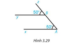 Bài 3.13 trang 50 SGK Toán 7 Tập 1 Kết nối tri thức