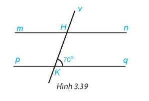 Bài 3.17 trang 53 SGK Toán 7 Tập 1 Kết nối tri thức