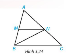 Bài 3.6 trang 49 SGK Toán 7 Tập 1 Kết nối tri thức