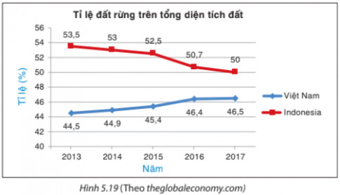 Bài 5.12 trang 104 SGK Toán 8 Tập 1 Kết nối tri thức