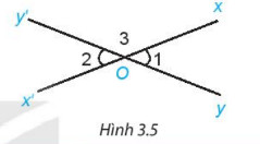 Bài 8: Góc ở vị trị đặc biệt. Tia phân giác của một góc