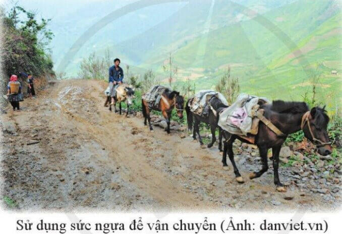 Bài Phương tiện vận chuyển của các dân tộc thiểu số Việt Nam ngày xưa SGK 7 trang 83, 84, 85, 86 - Văn Cánh diều