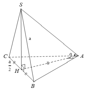 Bài tập về đường vuông góc với mặt phẳng có lời giải (ảnh 10)