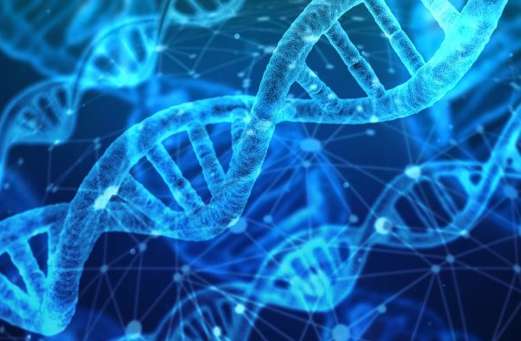 Tại sao việc tính toán số lượng và tỉ lệ các loại nuclêôtit trong phân tử ADN hoặc ARN lại quan trọng đối với nghiên cứu sinh học và di truyền học?