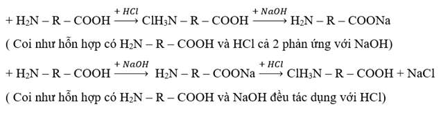 Bài tập về amino axit (ảnh 4)