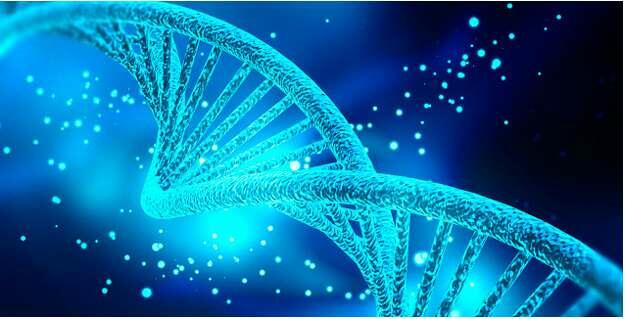 Bản chất của mã di truyền là gì?  (ảnh 2)