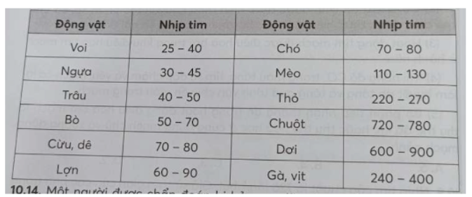 Bài 10.13 trang 36 SBT Sinh học 11: Bảng sau đây cho biết nhịp tim (nhịp/phút) ở một số loài động vật. Hãy nhận xét và giải thích mối quan hệ giữa nhịp tim và kích thước cơ thể của động vật.