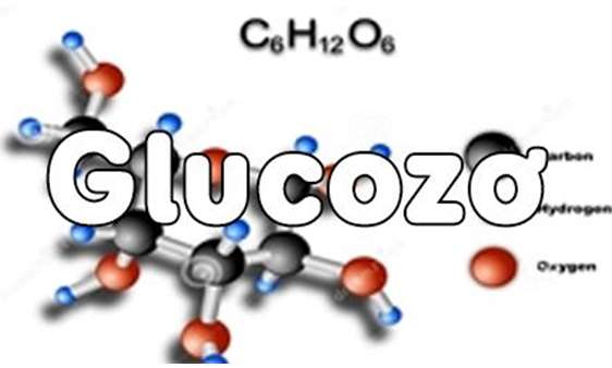 Fructozo có tác dụng gì trong cơ thể?
