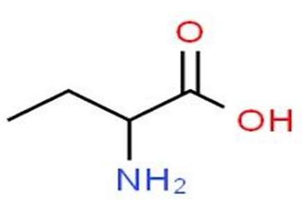C4H9O2N có số đồng phân amino axit là