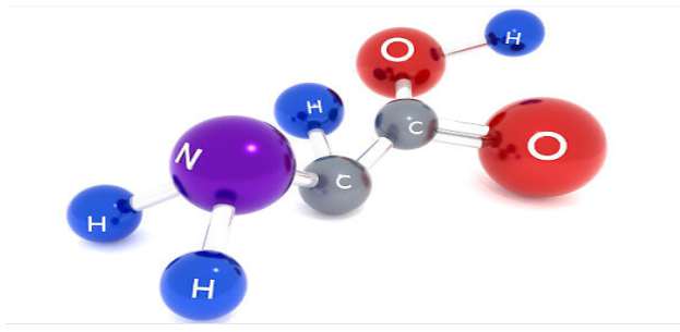 Các axit amin liên kết với nhau bằng liên kết?