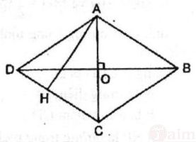 Các dạng toán về hình thoi lớp 4 đầy đủ nhất, cực hay (ảnh 11)