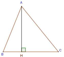 Các dạng toán về tam giác lớp 5 hay nhất