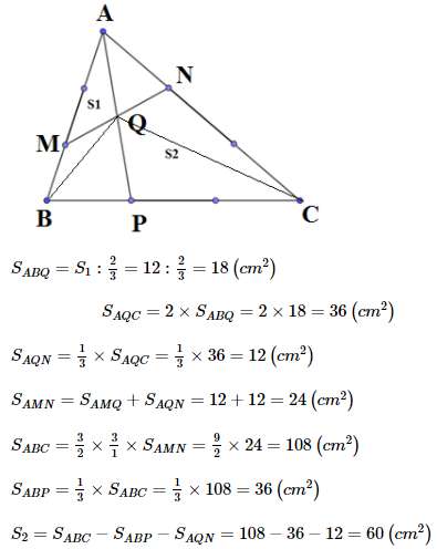 Các dạng toán về tam giác lớp 5 hay nhất (ảnh 11)