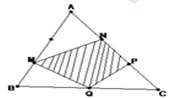 Các dạng toán về tam giác lớp 5 hay nhất (ảnh 13)