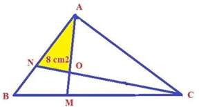 Các dạng toán về tam giác lớp 5 hay nhất (ảnh 15)