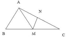 Các dạng toán về tam giác lớp 5 hay nhất (ảnh 4)