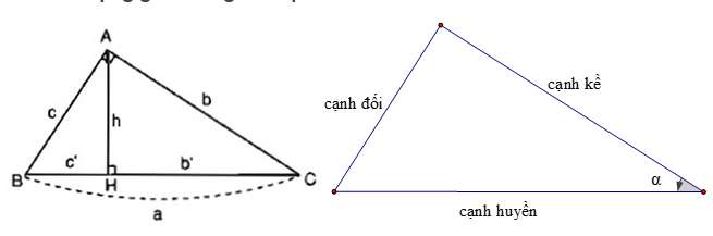 Các hệ thức lượng trong tam giác vuông (ảnh 8)