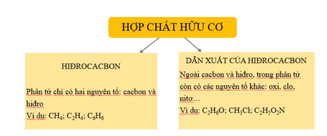 Các hợp chất hữu cơ được phân loại như thế nào?