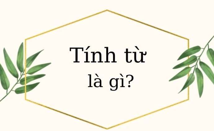 Các loại tính từ trong tiếng Việt đầy đủ nhất