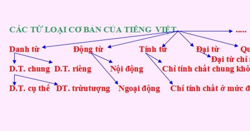 Các loại từ trong Tiếng Việt