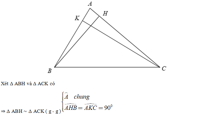 Các trường hợp tam giác đồng dạng đầy đủ nhất (ảnh 2)