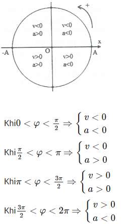 Cách dùng vòng tròn lượng giác giải bài toán thời gian hay nhất (ảnh 5)