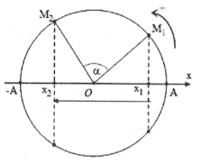 Cách dùng vòng tròn lượng giác giải bài toán thời gian hay nhất (ảnh 6)